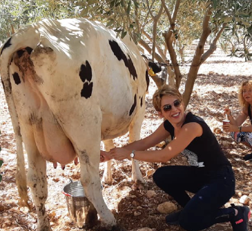 Be a Farmer for a Day in Jerash