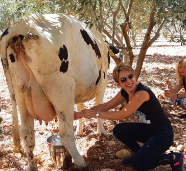 Be a Farmer for a Day in Jerash - Group up to  10 persons