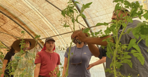 Permaculture Farmer for a Day at Carob Farm