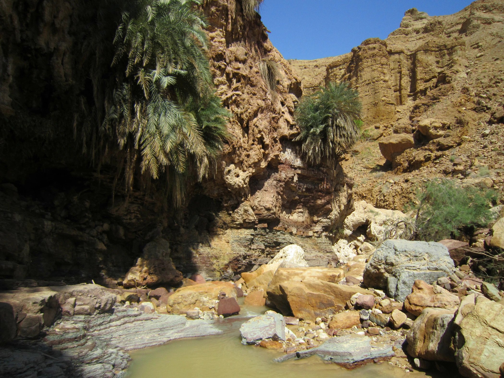 From Amman: Wadi Manshala Hike