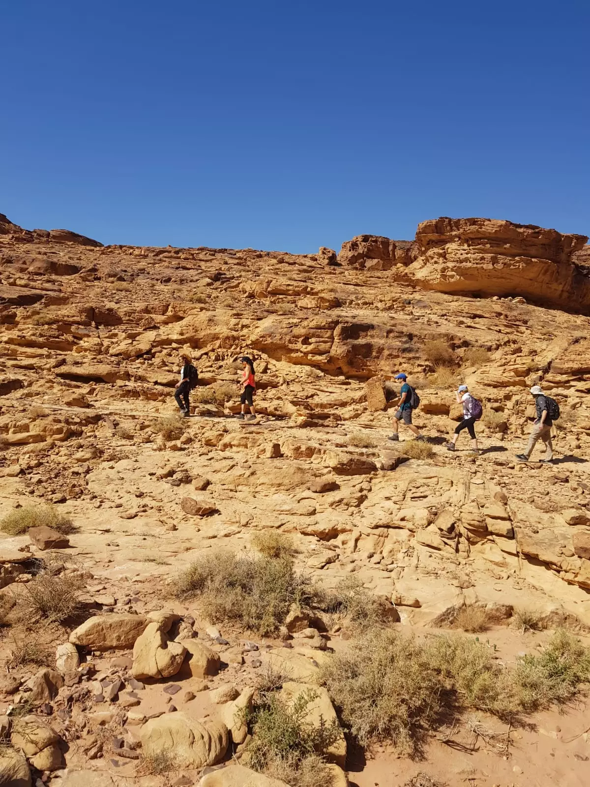 Trek Adventure in Wadi Rum