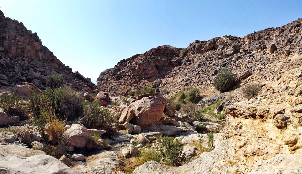 Wadi Himara Panorama Trail - Hiking in Jordan