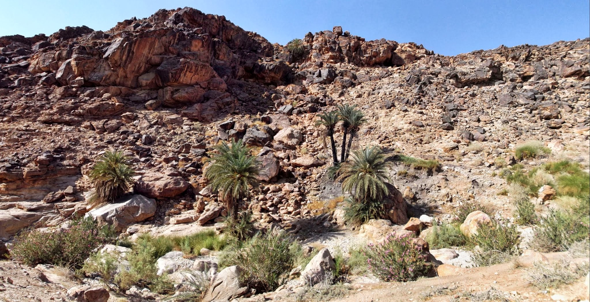 Wadi Himara Panorama Trail - Hiking in Jordan