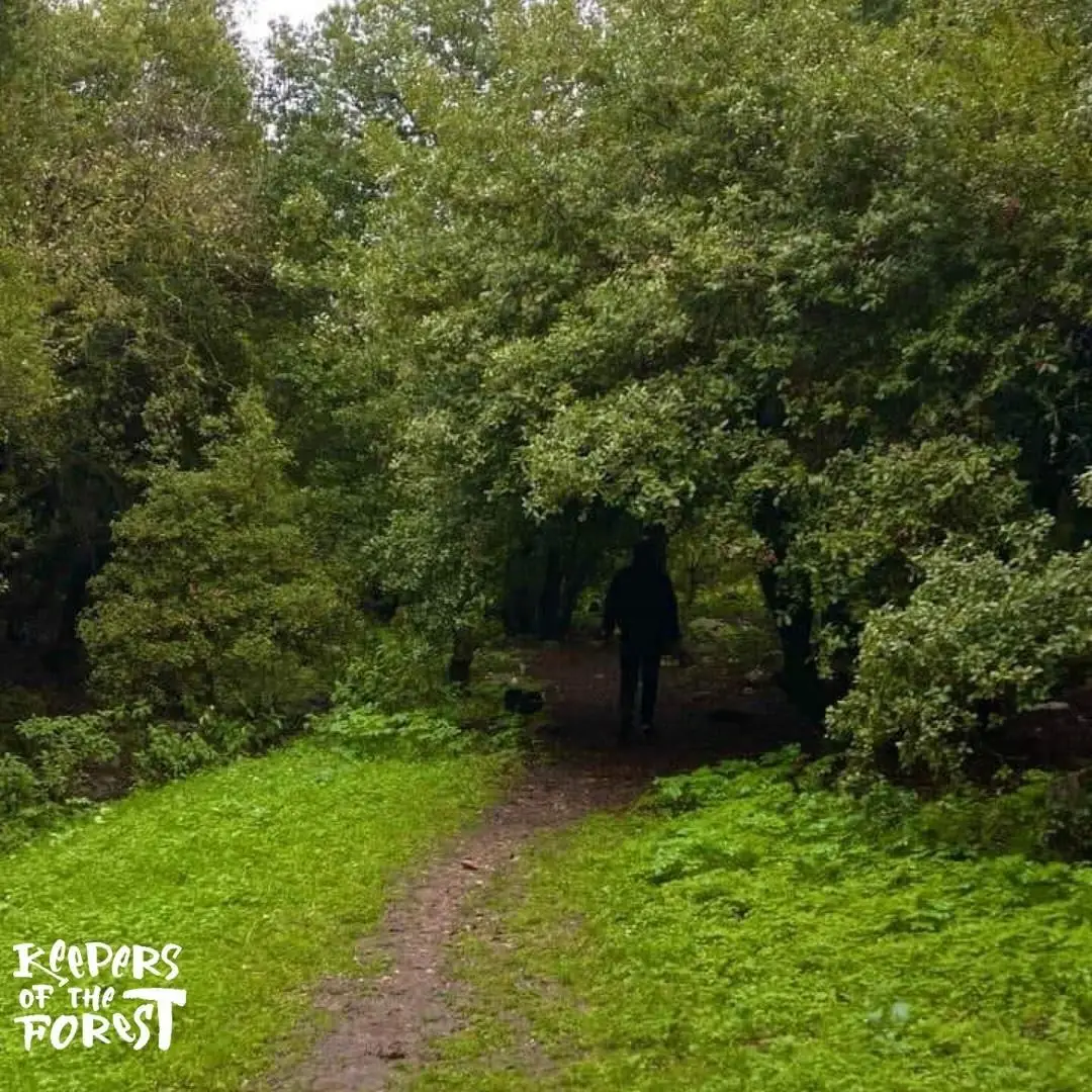 Zubya Forest Trail - Ajloun