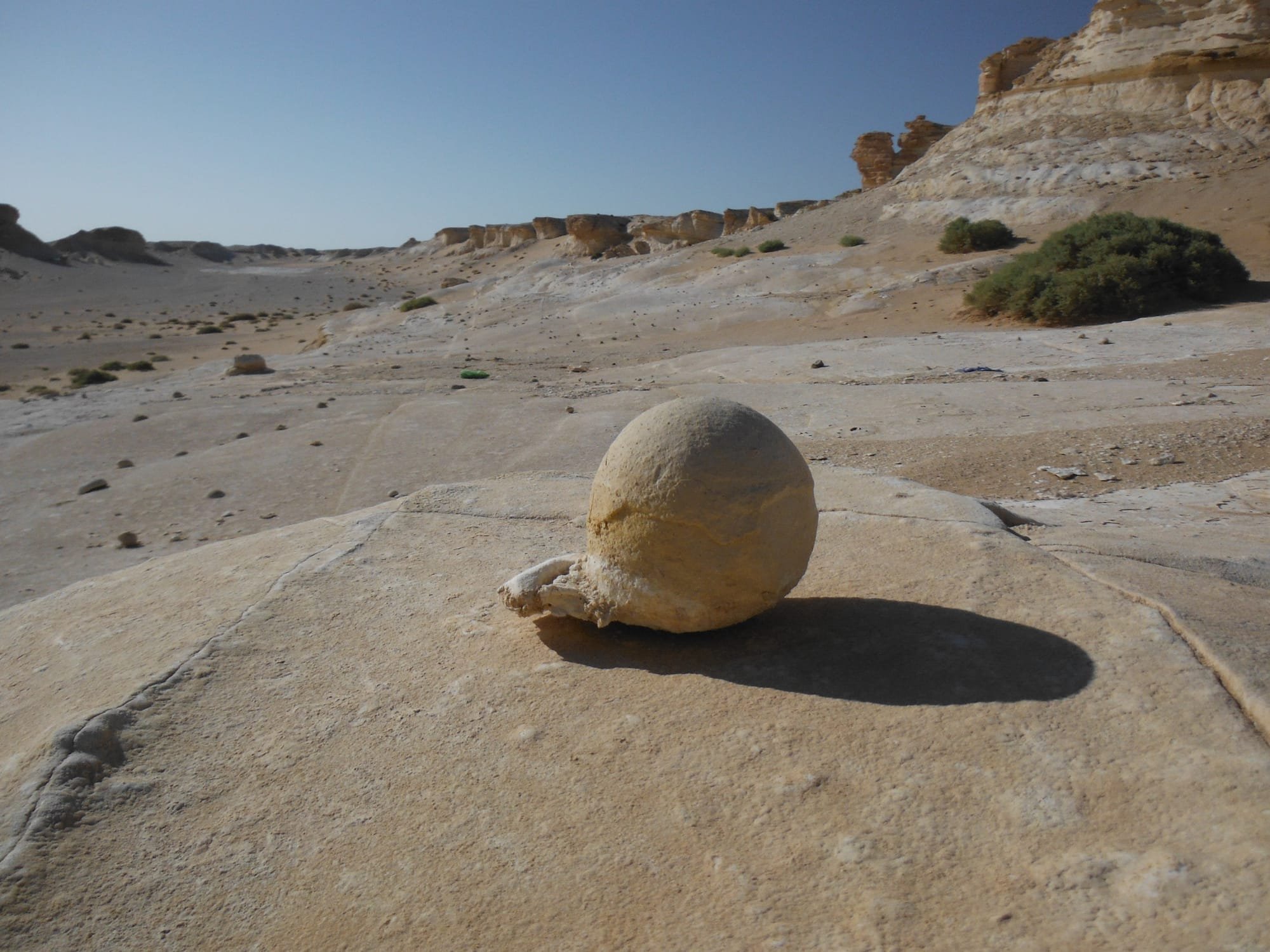 Wadi AL Dahek - White Desert Day Tour