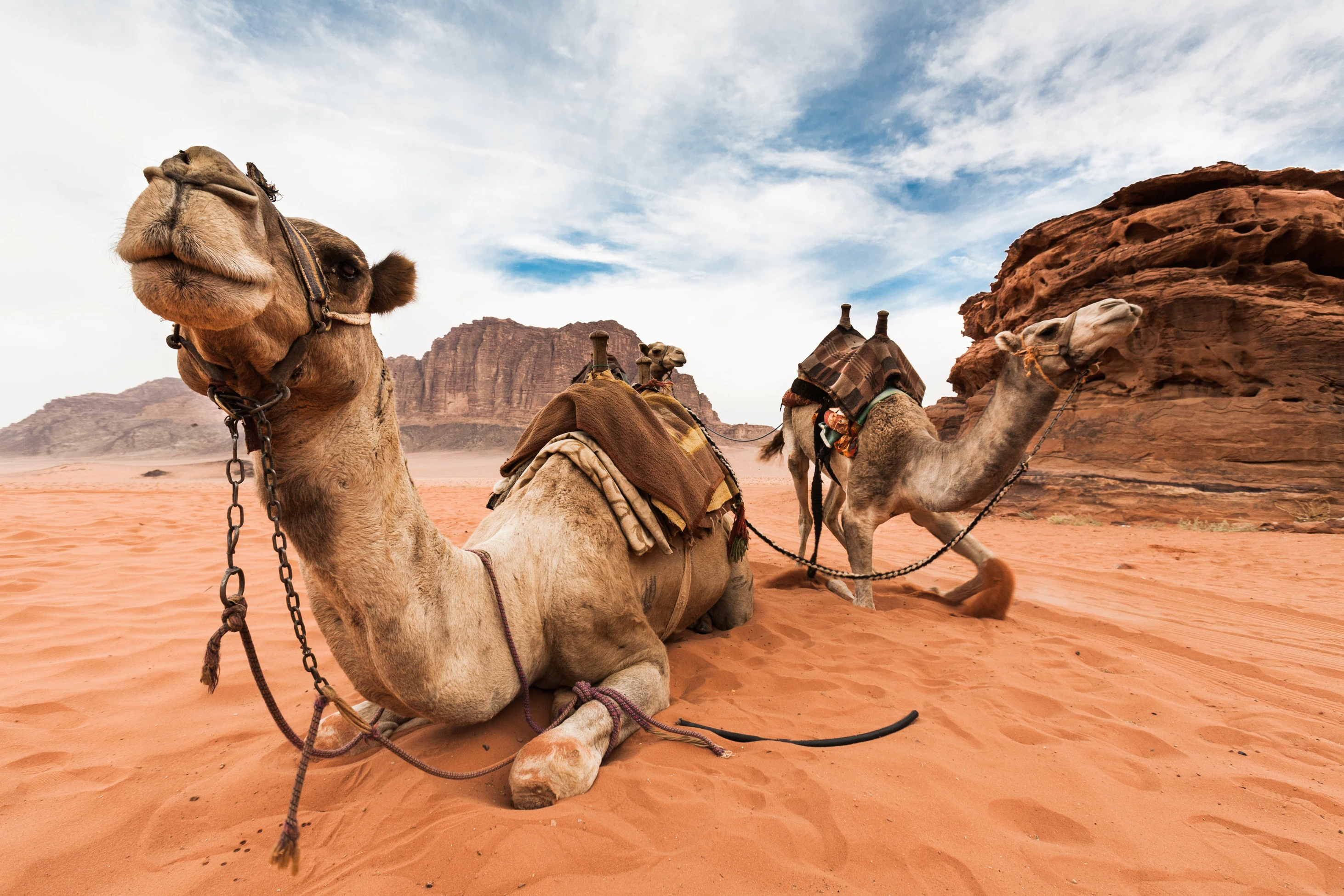 From Amman:  Petra and Wadi Rum Tour