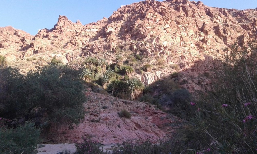 From Dana: Wadi Al-Ghuweir Full Day Hike