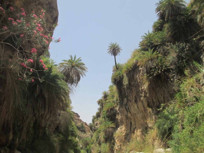 From Dana: Wadi Al-Ghuweir ( Ashiqer )  Full Day Hike