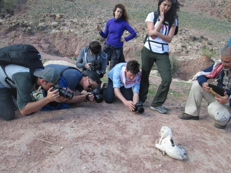 Wadi Dana - Full Day