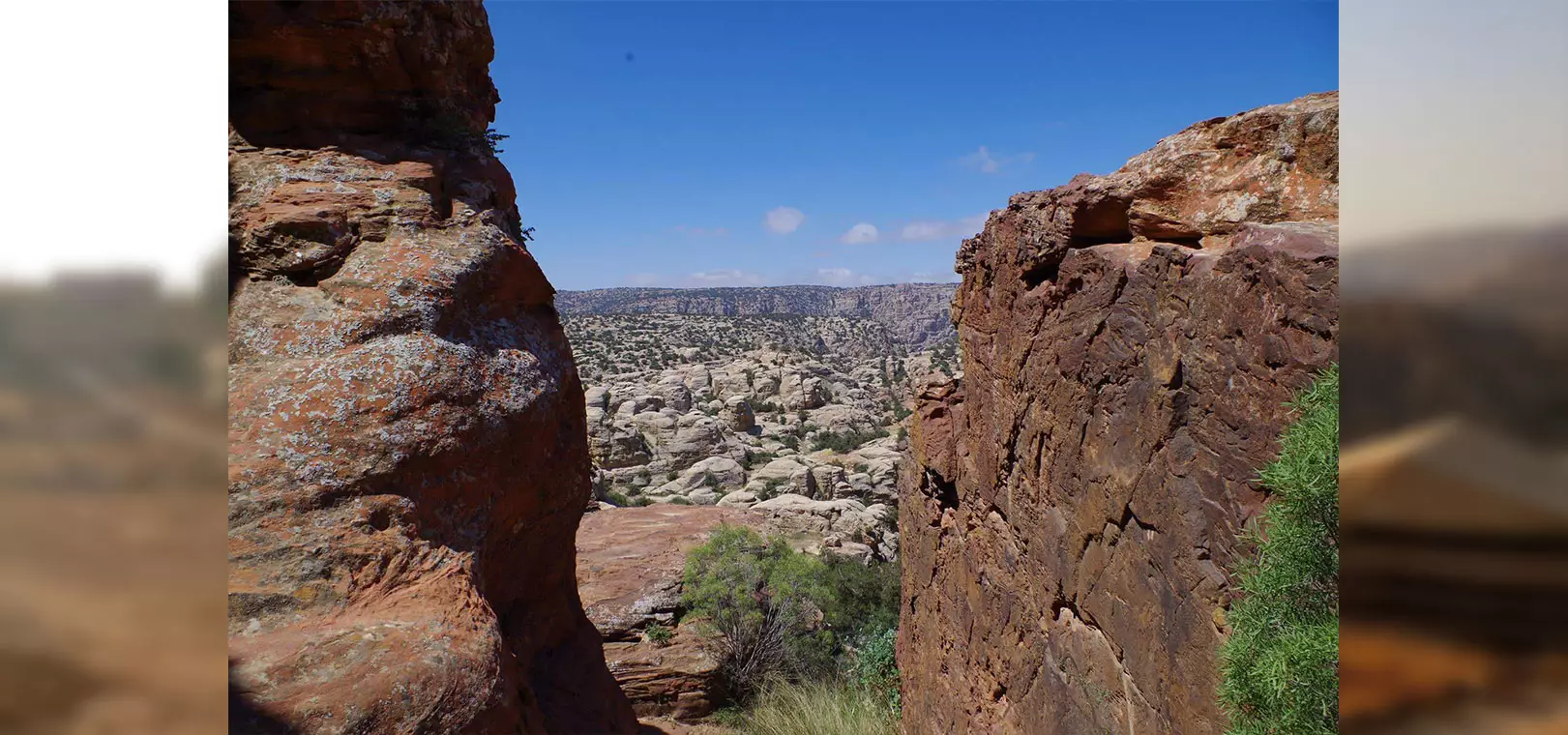 From Dana: Shaq Al-Reesh(Feather's Canyon)