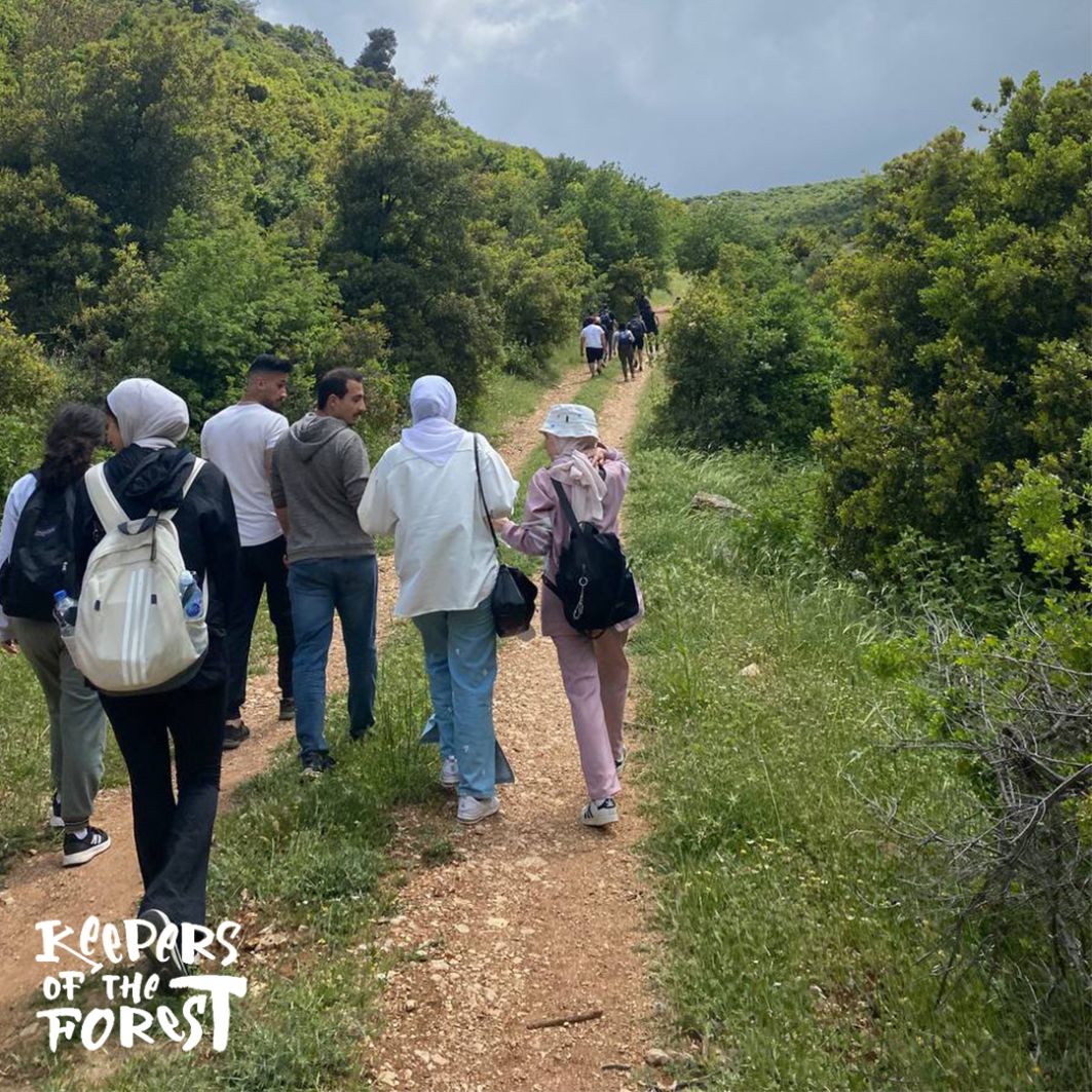 From Amman: Jerash Forest Trial