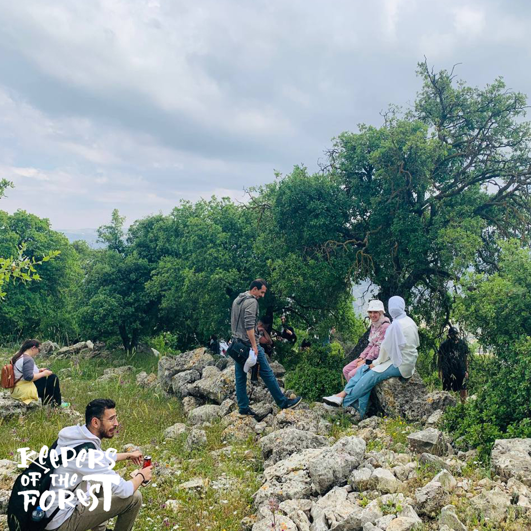 From Amman: Jerash Forest Trial