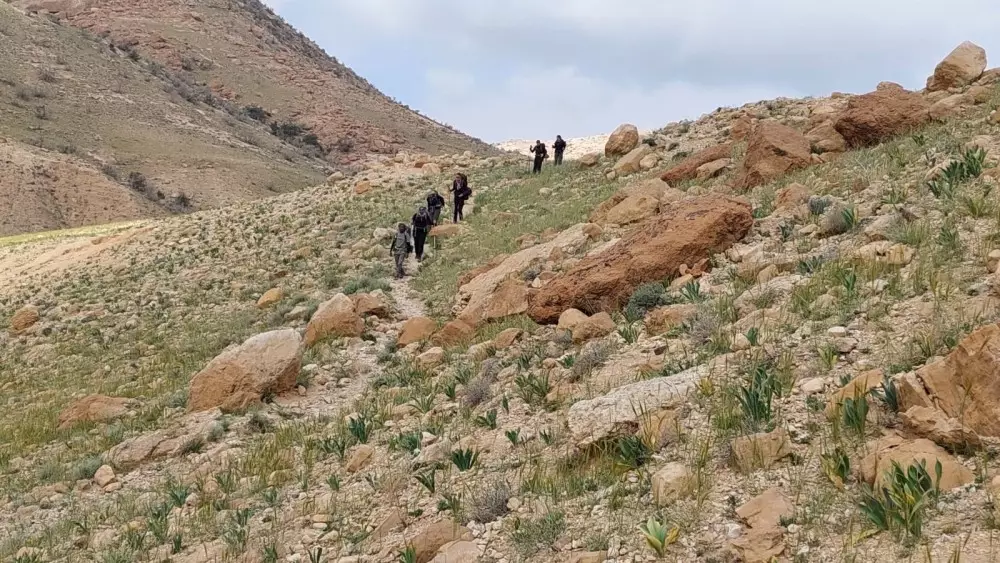 From Amman: Shobak to Petra Summer Trail - 4 Days