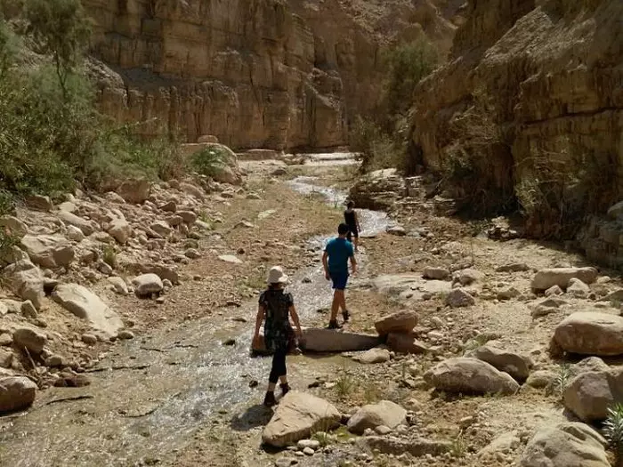 From Amman: Wadi Shgeifat Hike