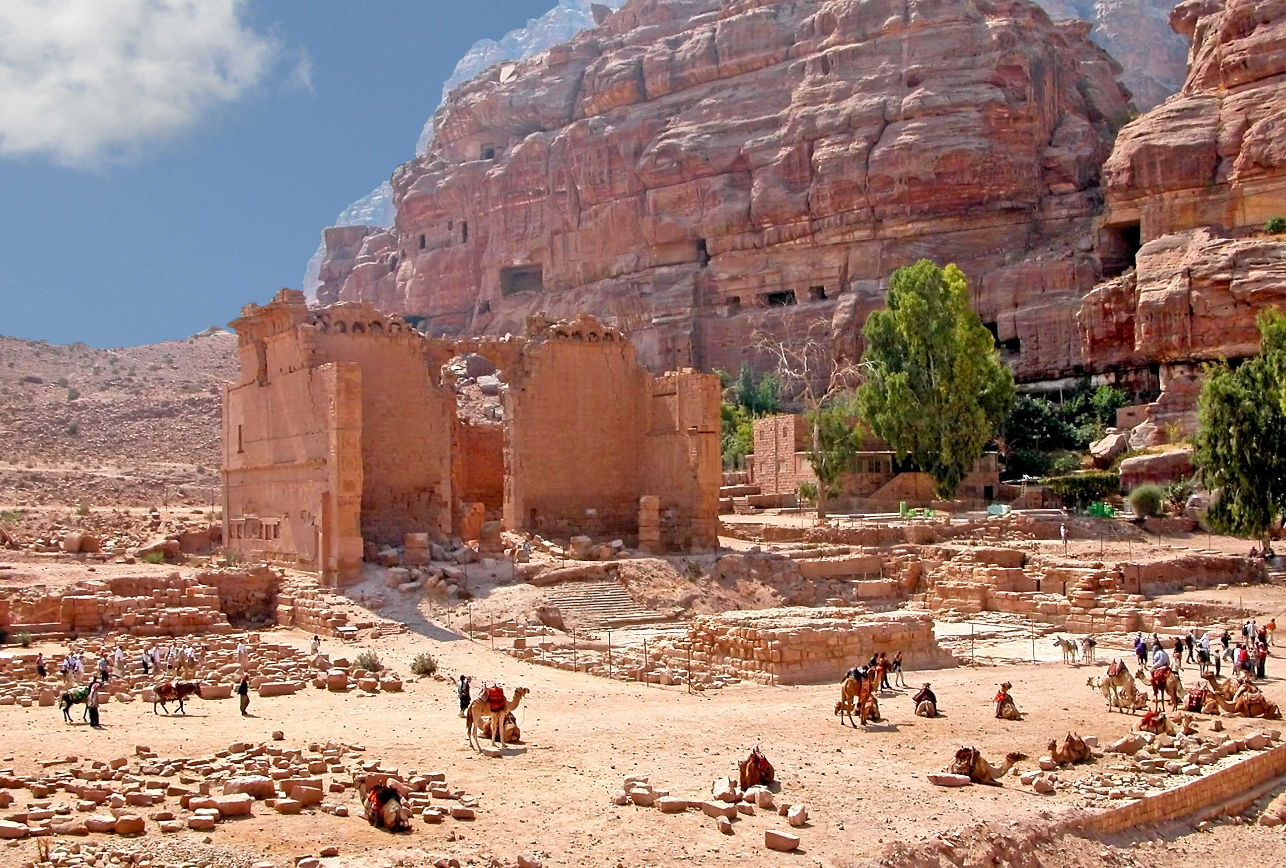 From Amman: Petra Tour