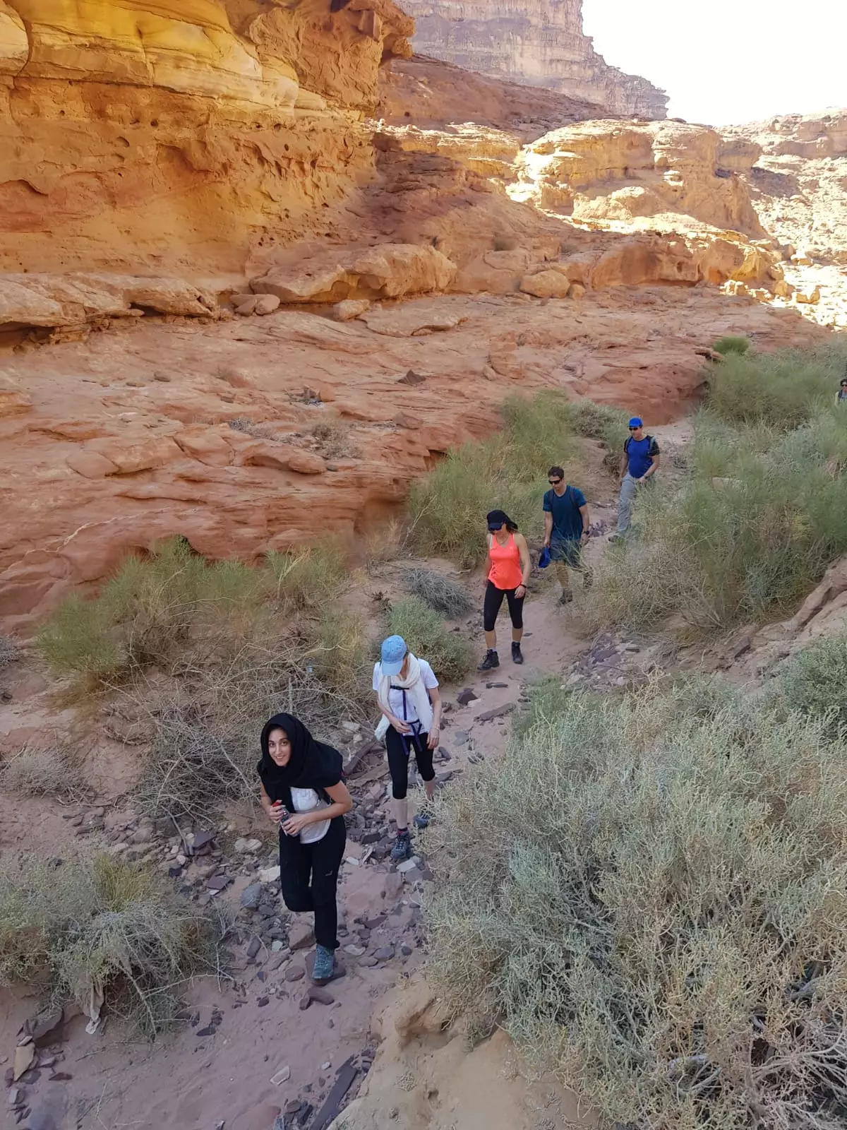 From Wadi Rum: Desert Hikes