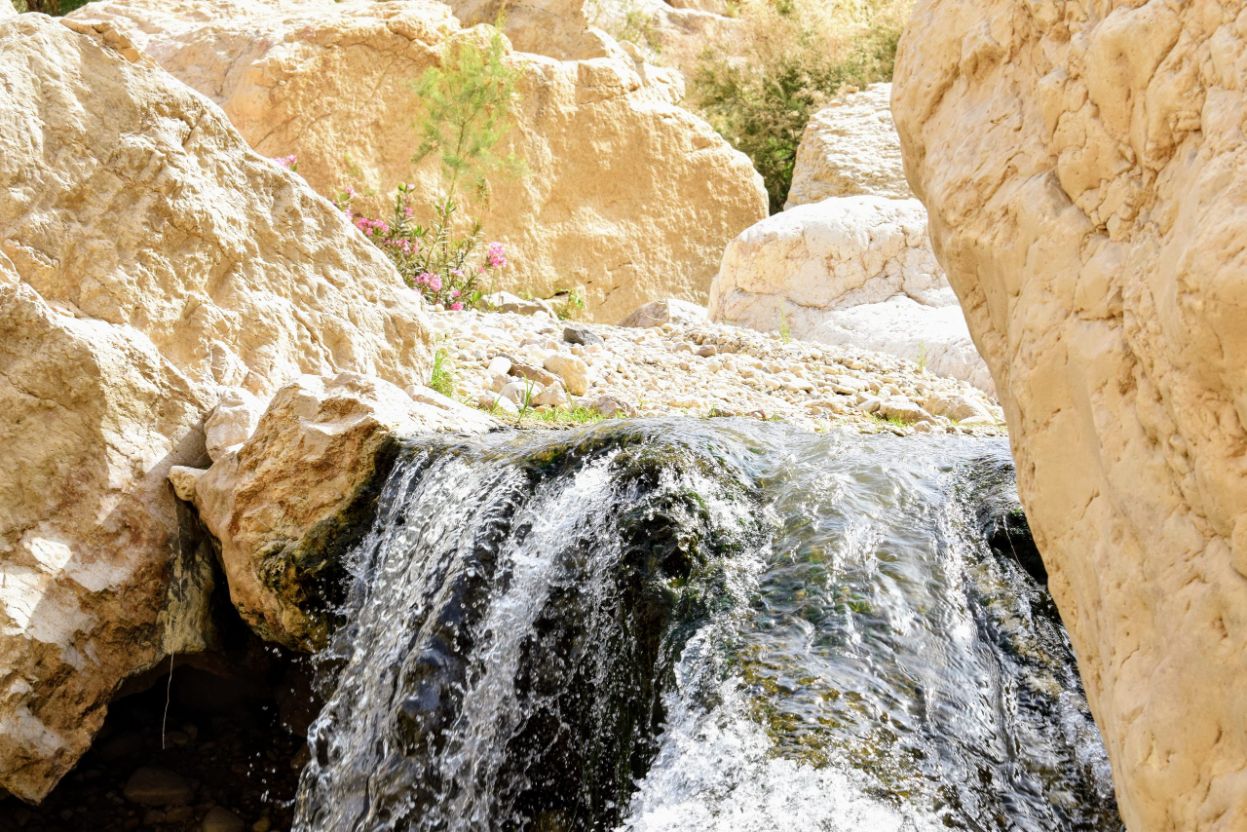 From Amman: Wadi Karak Hike