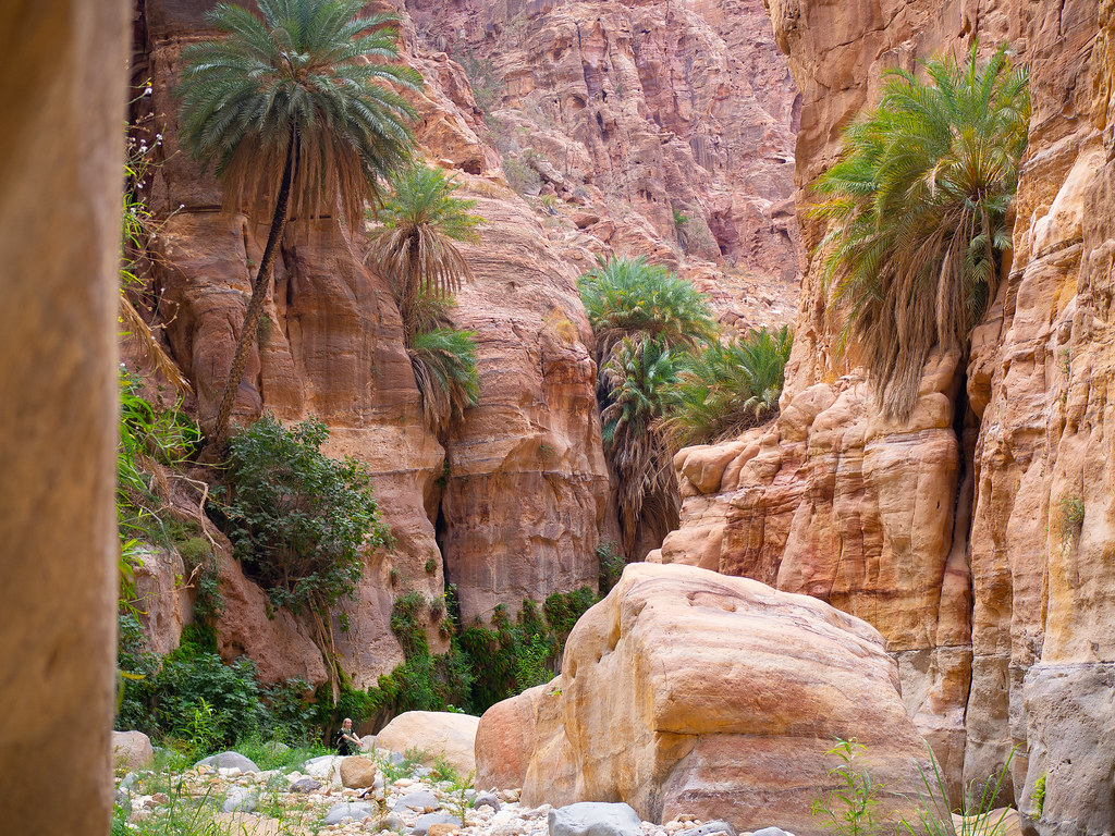 From Dana: Wadi Al-Ghuweir Full Day Hike