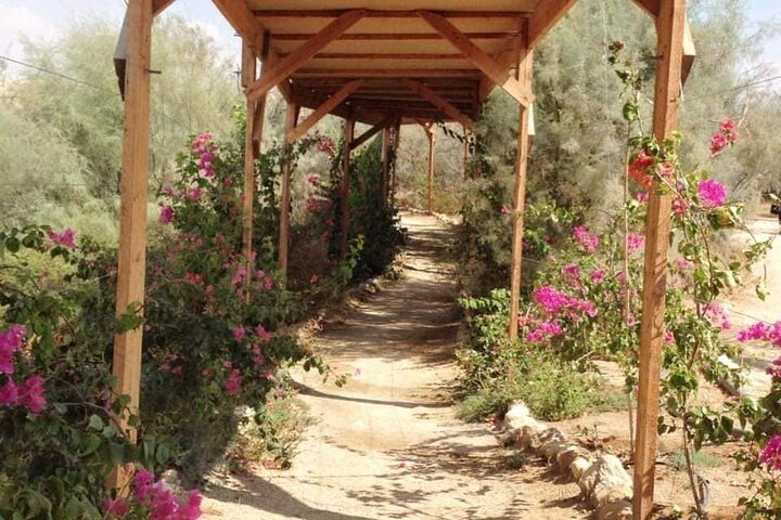 One Day Tour Madaba, Mt. Nebo, Baptism Site and Ma'in Hot Springs