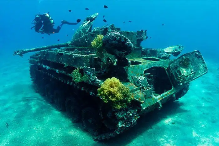 Diving from the shore